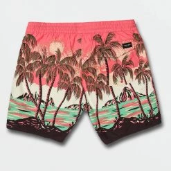 Volcom 2022 SS Unisex Street Style Swimwear For Men Black X Xxl* Inquiries Required -Volcom Sales Shop org 1298