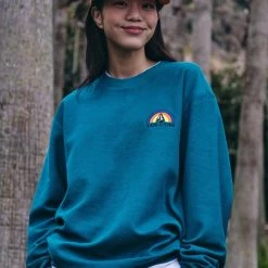 Volcom 2022 SS Crew Neck Unisex Street Style Long Sleeves Cotton Logo For Men Gray X Xl -Volcom Sales Shop org 4459