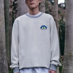 Volcom 2022 SS Crew Neck Unisex Street Style Long Sleeves Cotton Logo For Men Gray X Xl -Volcom Sales Shop org 4460