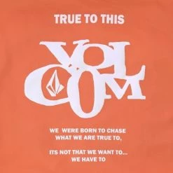 Volcom 2022 SS Unisex Street Style Jackets For Men Orange X L -Volcom Sales Shop org 6631