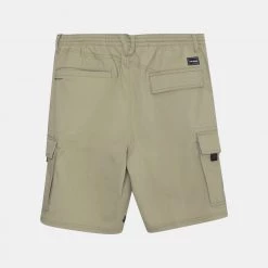 Volcom 2022 SS Shorts For Men Brown (brown) Series X M(30inch) -Volcom Sales Shop org 7625